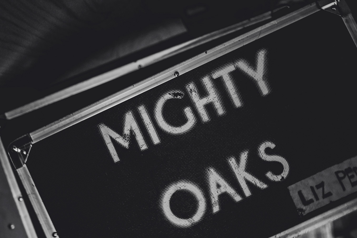 Mighty Oaks