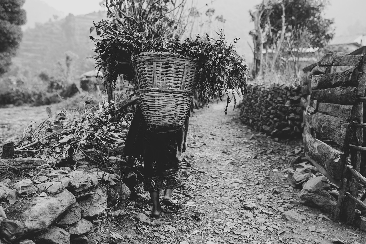 Nepal