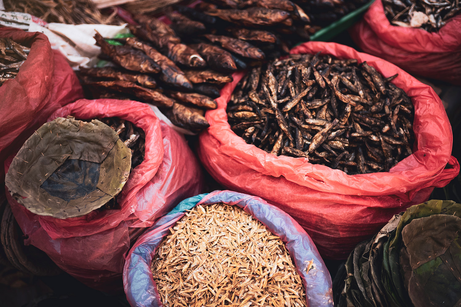 Nepal
